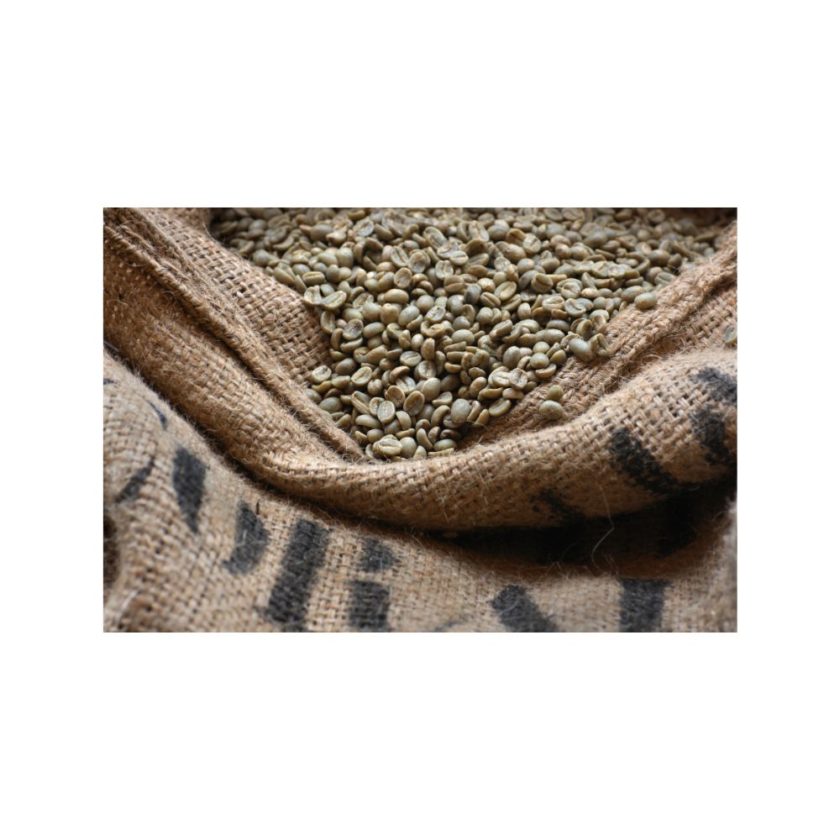 guatemala la morena unroasted green coffee beans-21